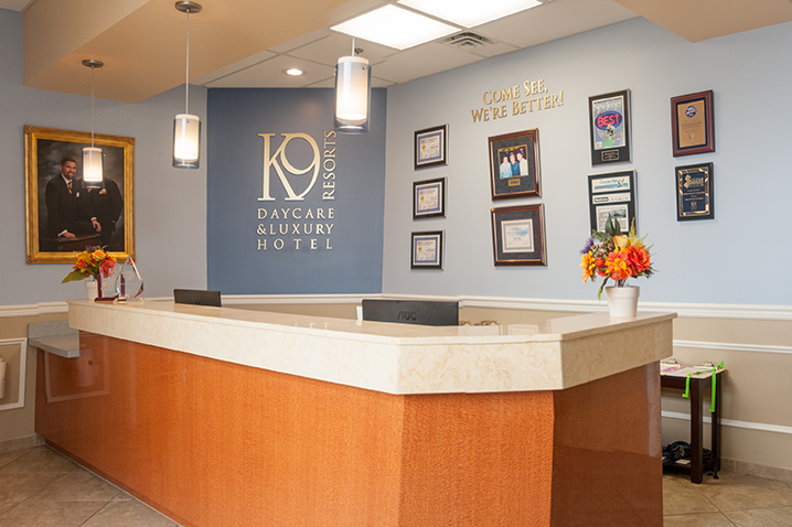 K9 Resorts reception desk