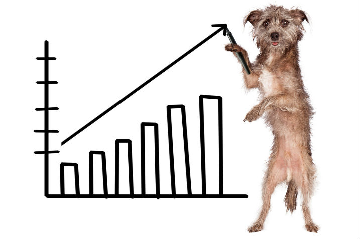 Chart rising with dog drawing on graph