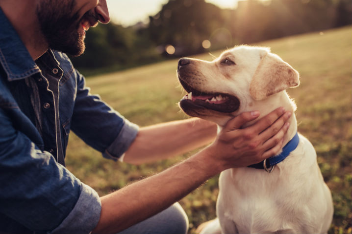 Dog owner petting dog and smiling