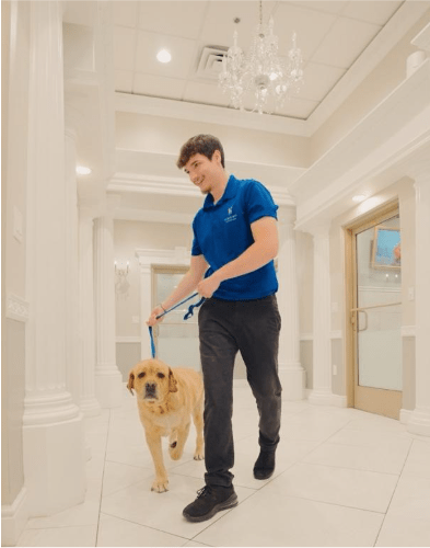 Explore our luxury pet hotel, a pet care franchise opportunity.